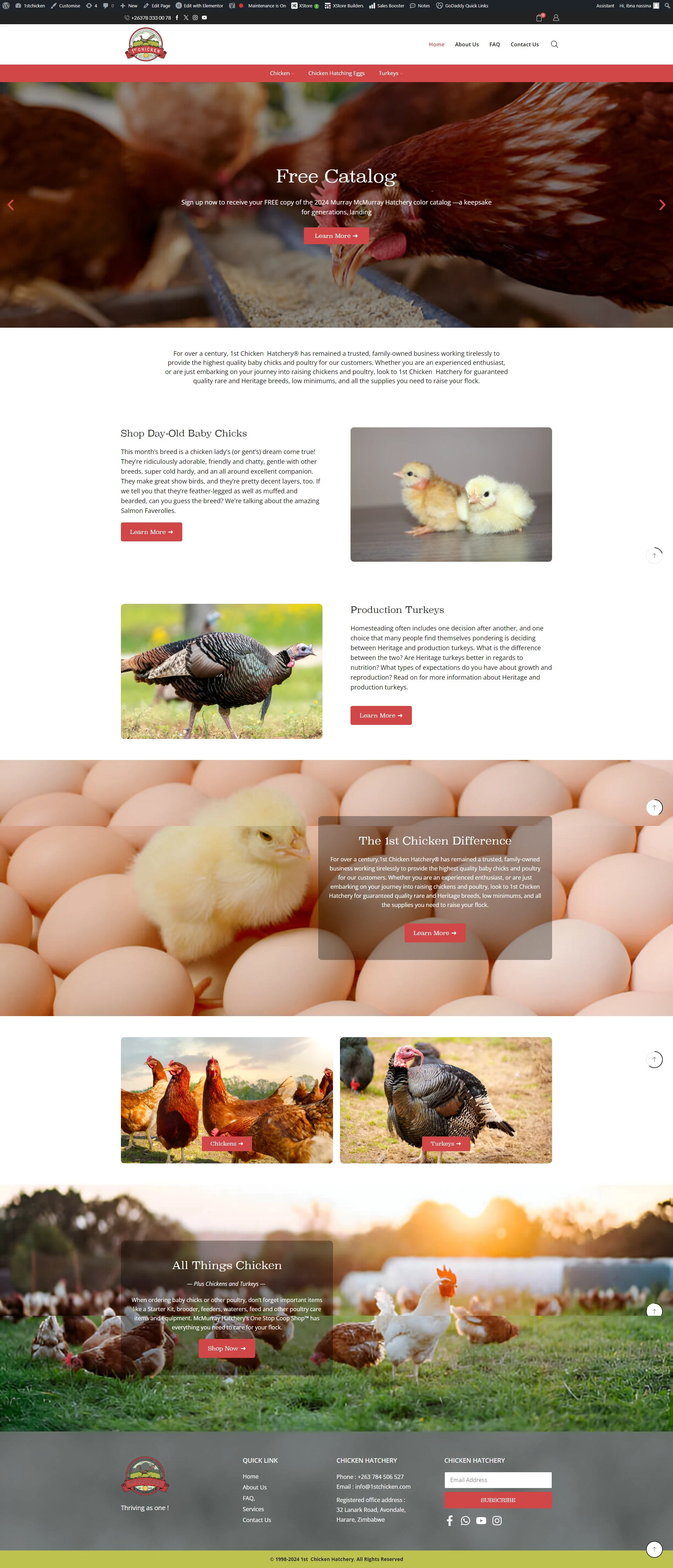 1st Chicken Hatchery — eCommerce Store
